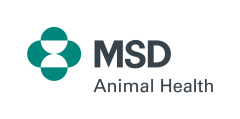 msd_ah_rgb_pos